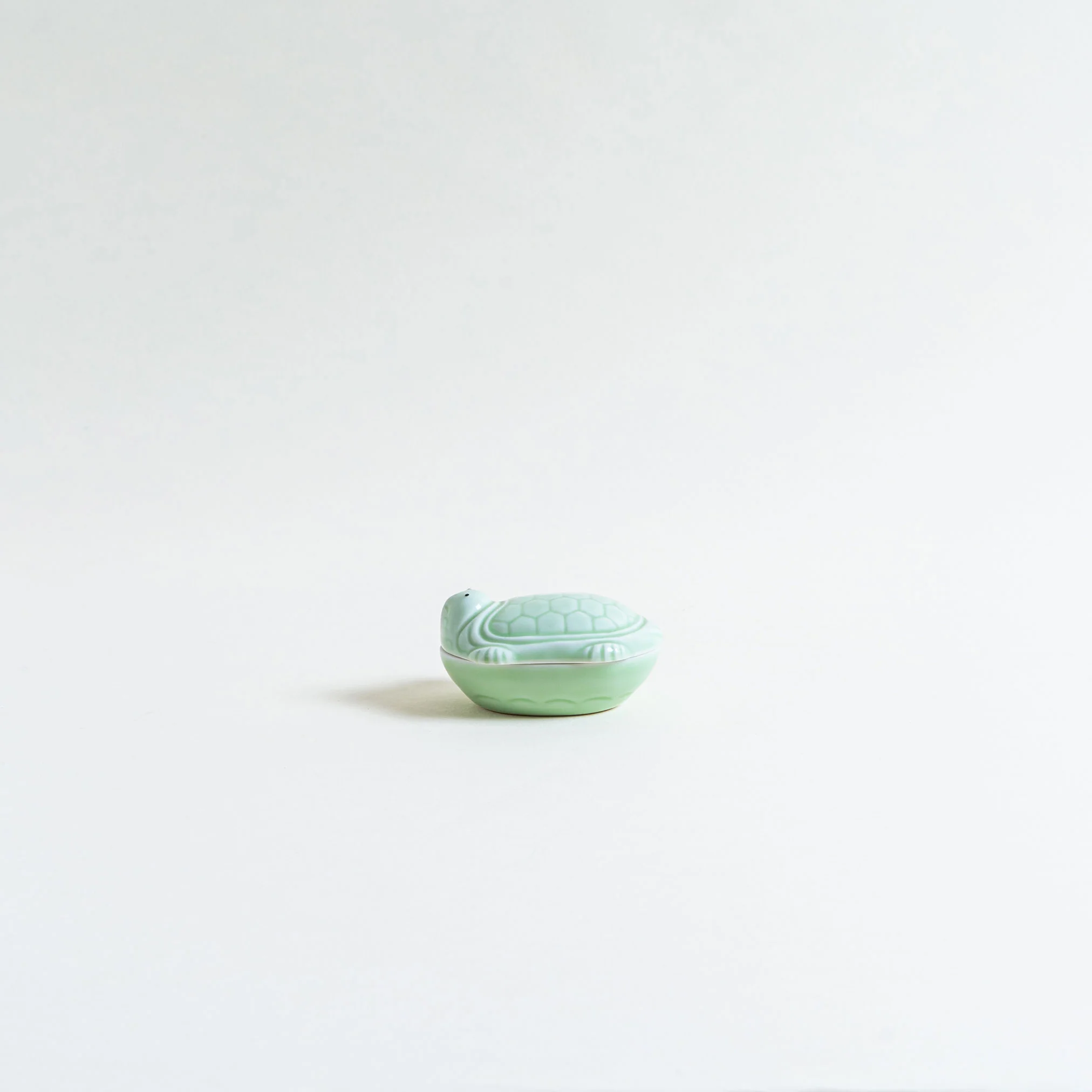 Ceramic Turtle Case