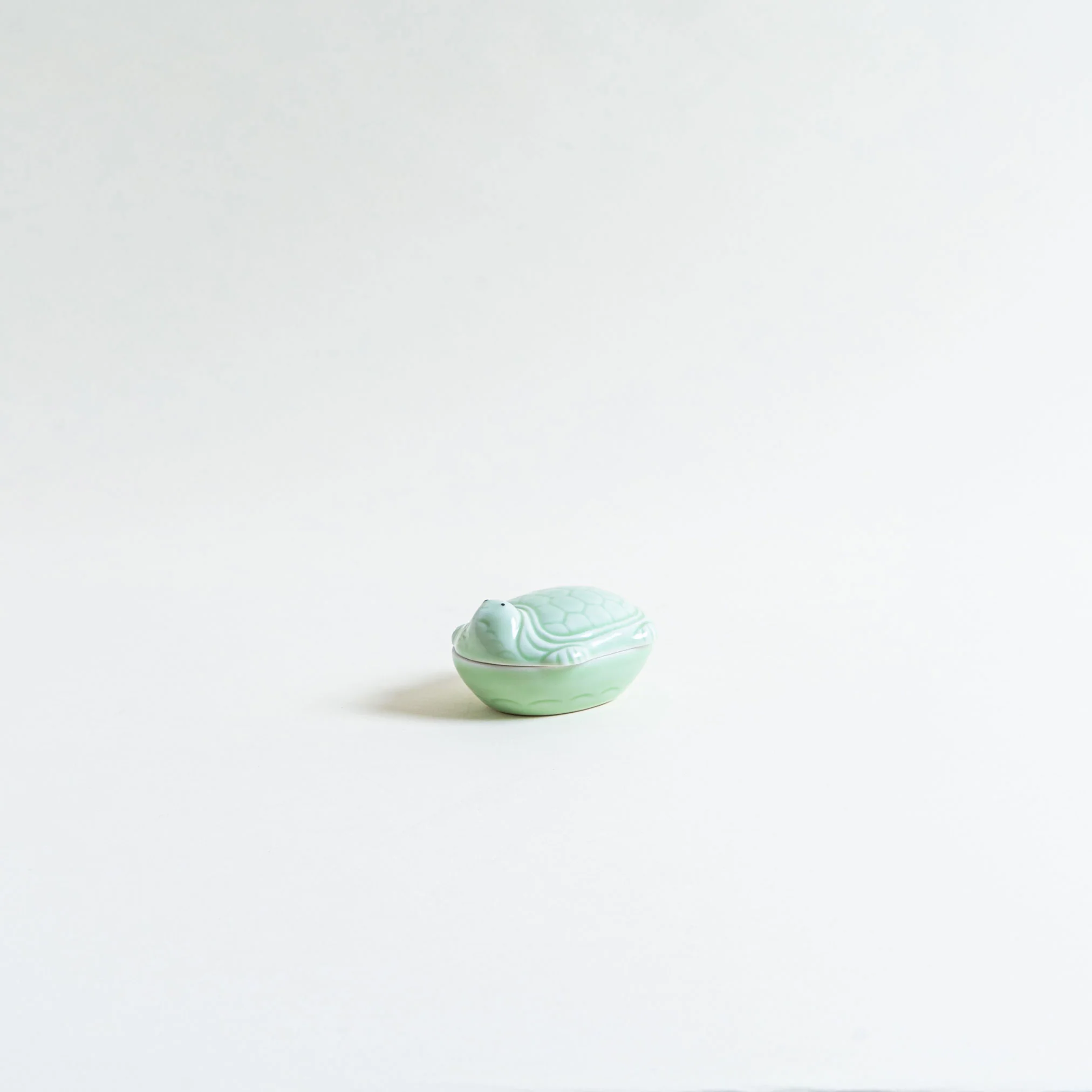 Ceramic Turtle Case - Image 4