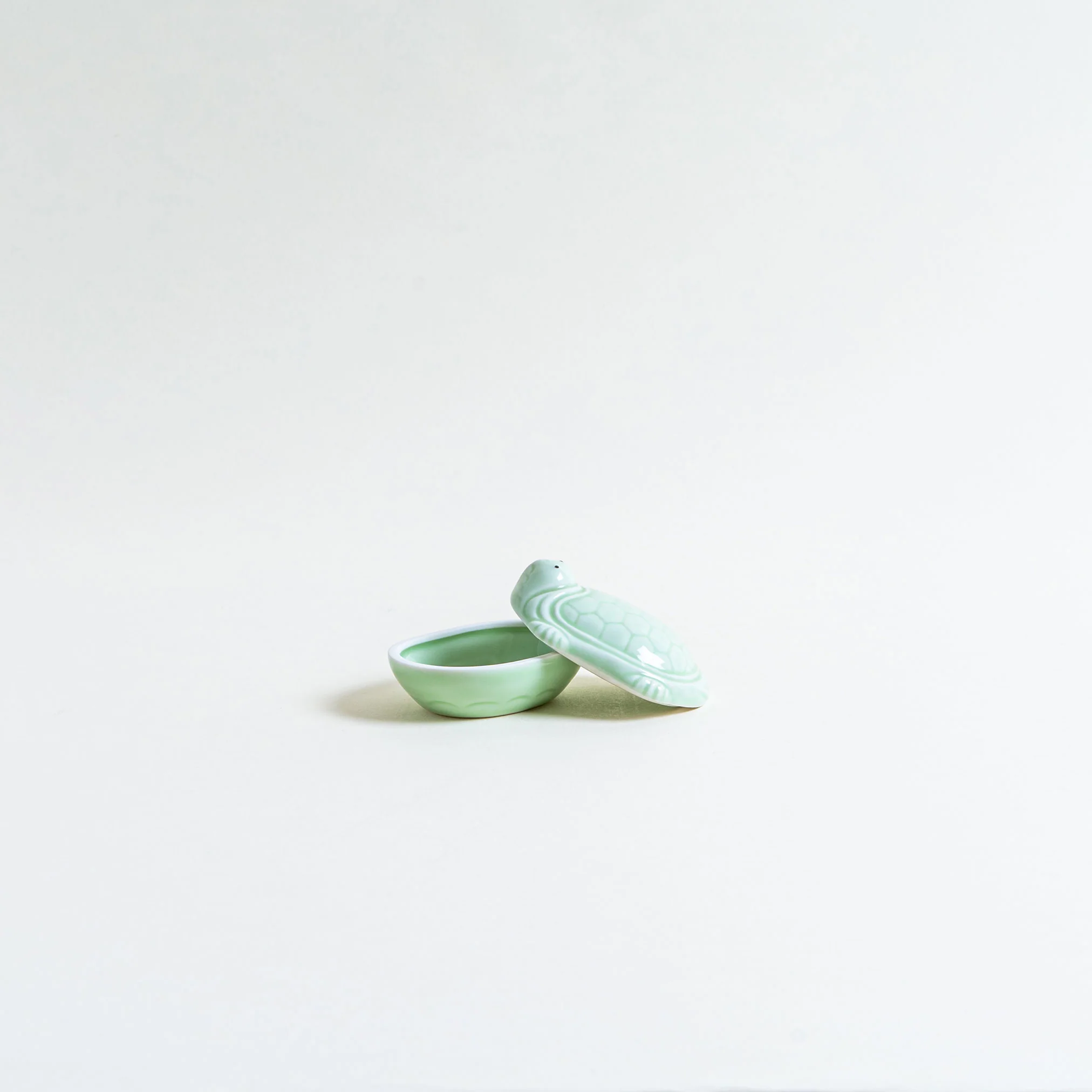 Ceramic Turtle Case - Image 5
