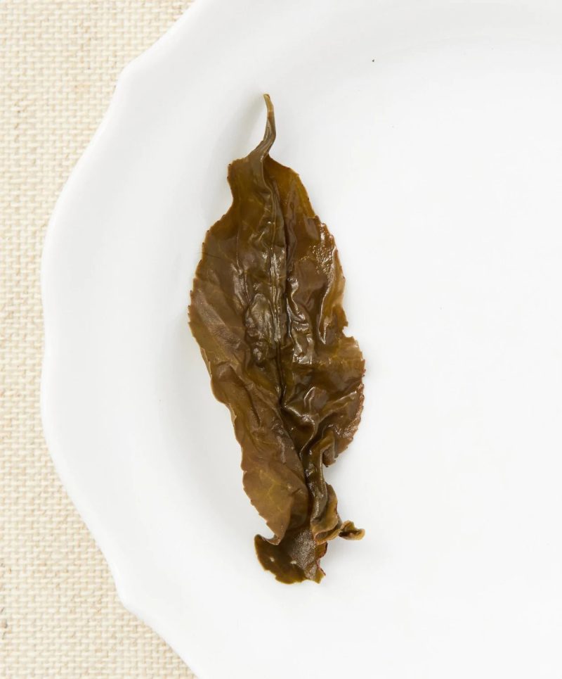 mount ali oolong leaf 2048x2048 3a290c52 3bd3 4cd3 af22 cd9ac10a78d7